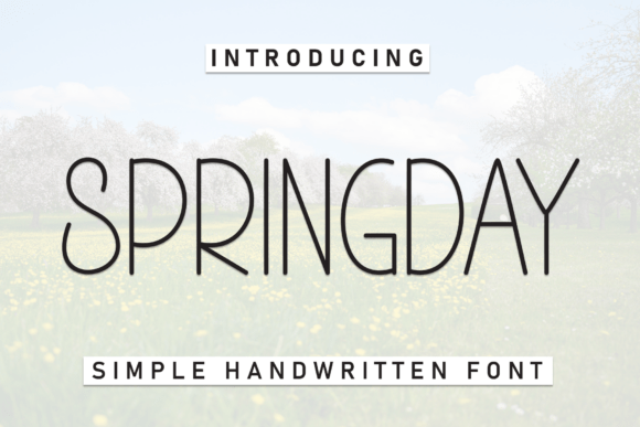 Springday Display Font for Modern Brand Campaigns
